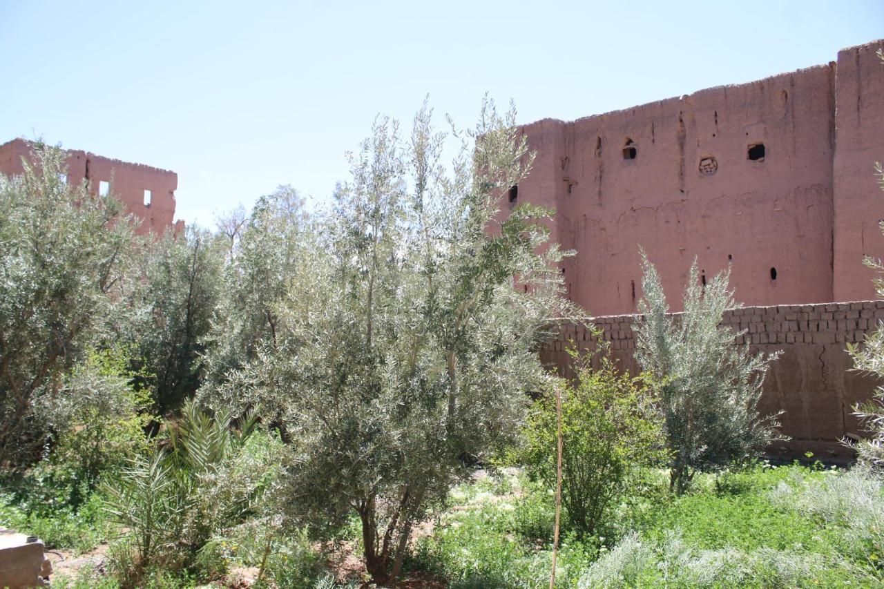Gite Ait Lmaalam Chez Ahmed Skoura Exterior foto