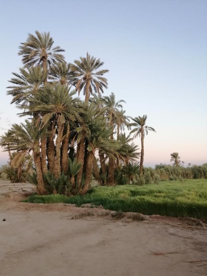 Gite Ait Lmaalam Chez Ahmed Skoura Exterior foto